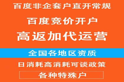 竞价代运营的案例研究：如何精准投放广告并获得回报